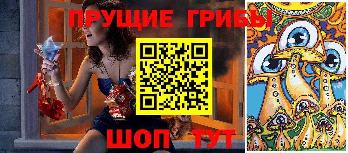 Дятьково  Галлюциногенные грибы Psilocybe  Вход с VPN 